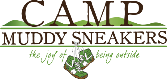 Camp MS Logo
