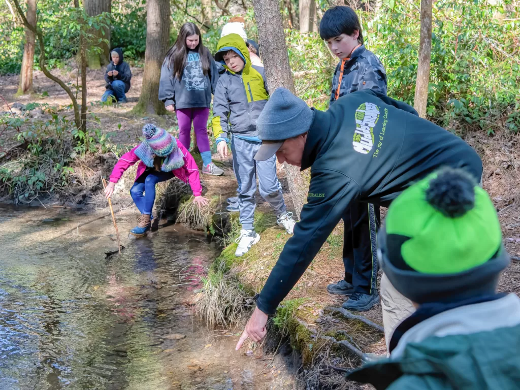 Muddy Sneakers Instructor standing on a stream bank, pointing to something in the stream as a group of fifth-grade students looks on.