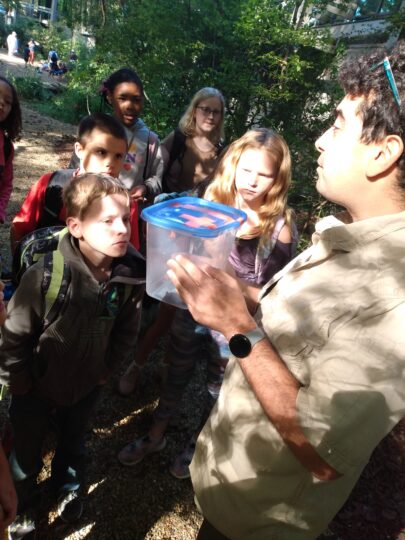 Curious students gather around a clear container holding a brown bat.