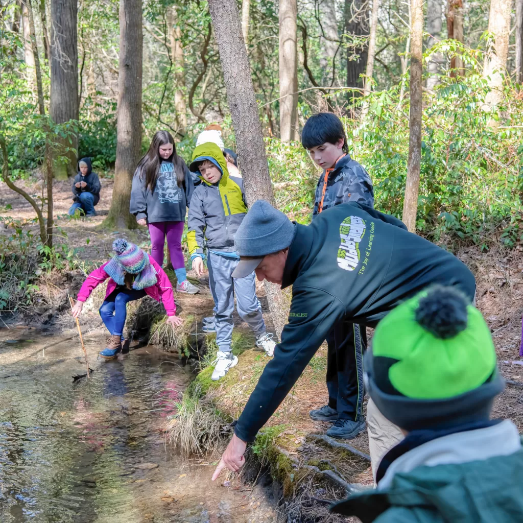 Muddy Sneakers Instructor standing on a stream bank, pointing to something in the stream as a group of fifth-grade students looks on.