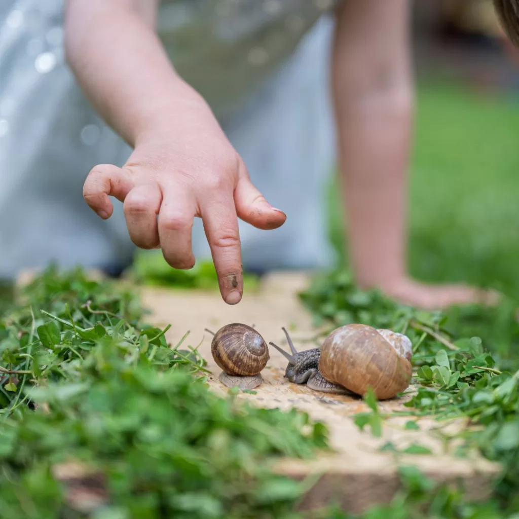 Child's hand, covered in dirt, reaching out to touch a snail's shell.