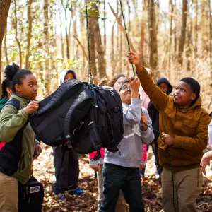 During a Forces & Motion field trip, students work together to hang a bear bag.