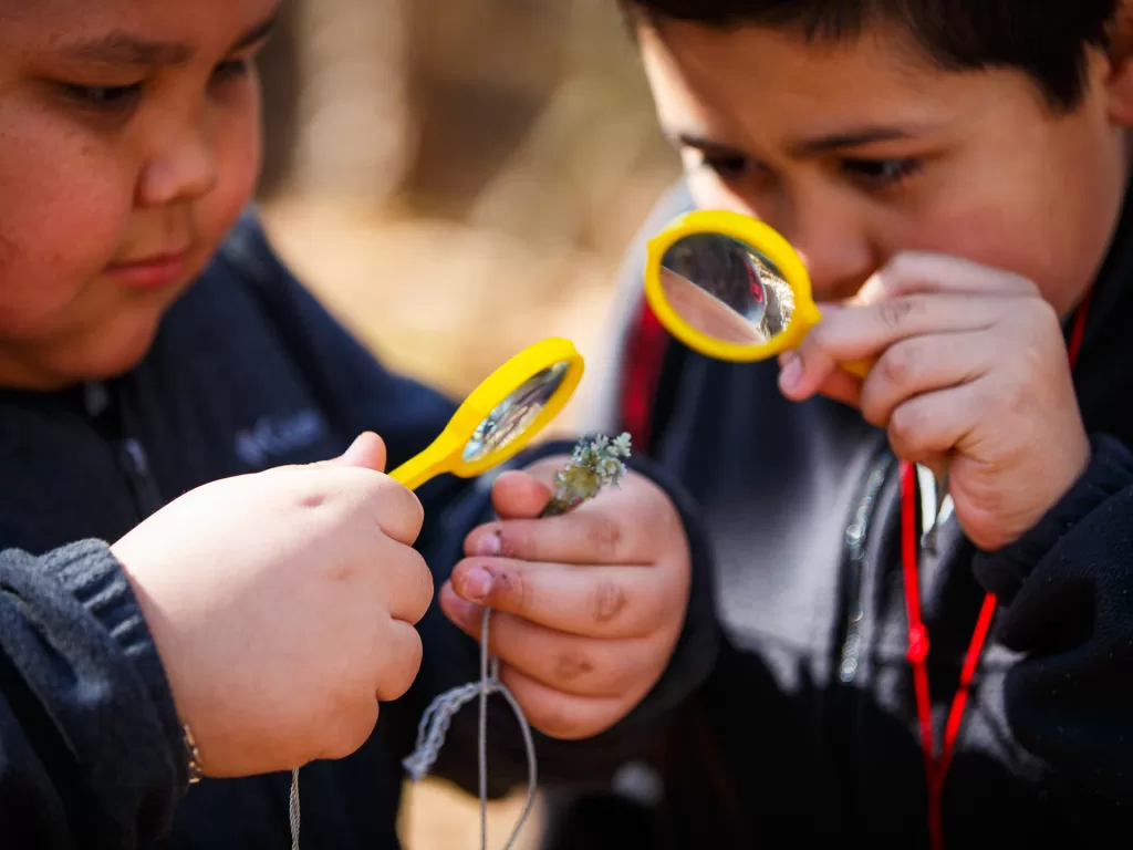 Students use magnifying glasses to look closely at natural objects found during a Muddy Sneakers field trip.