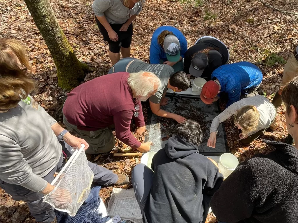 Walk in the Woods nature exploration activity