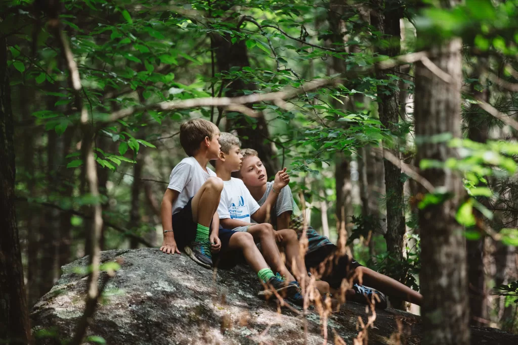 Day camp participants sit on a rock and study the trees