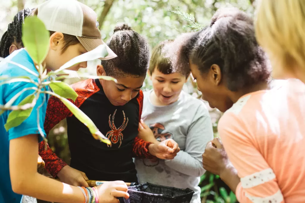 Students gather around a dip net to explore aquatic organisms.