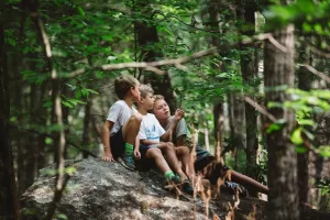 Muddy Sneakers Day Camp participants sit on a rock in the forest, looking up into the trees with curiosity.