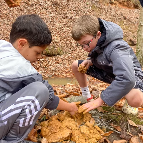 Building a nest from natural materials that will keep the heat