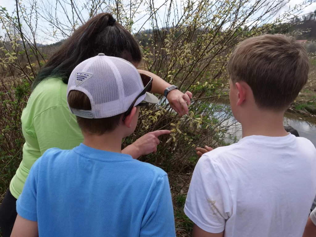 Muddy Sneakers instructor points out plant life during a day outside with fifth-grade students.