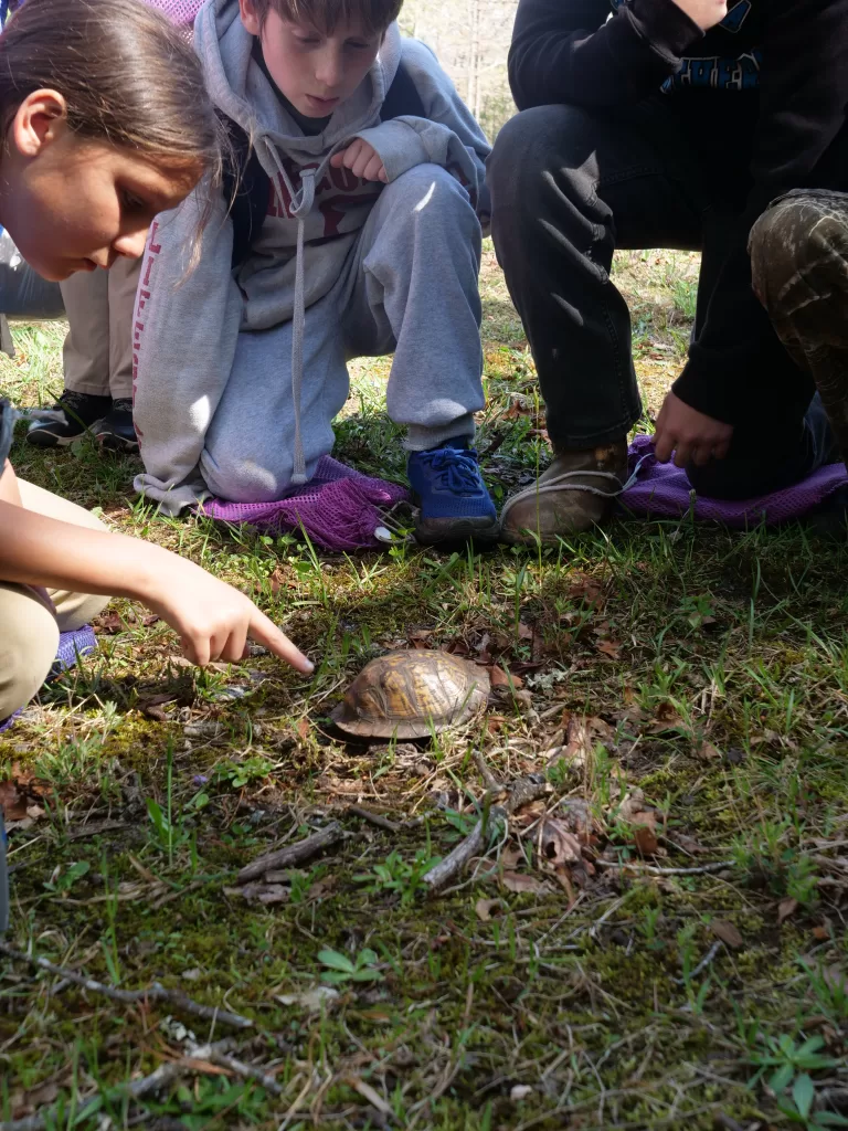 Students spot a turtle during a day outside with Muddy Sneakers.