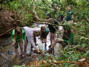 During a day outside with Muddy Sneakers, students learn about aquatic ecosystems through hands-on exploration of a local waterway.