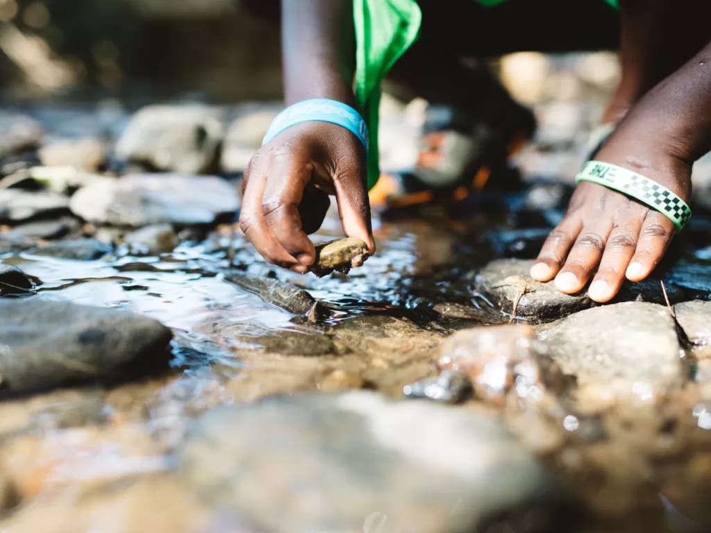Child Hands Lifting Rock in Stream