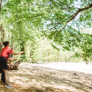 During Energy in Motion programs, students step into the forest to investigate how energy moves, changes, and powers the world around them.
