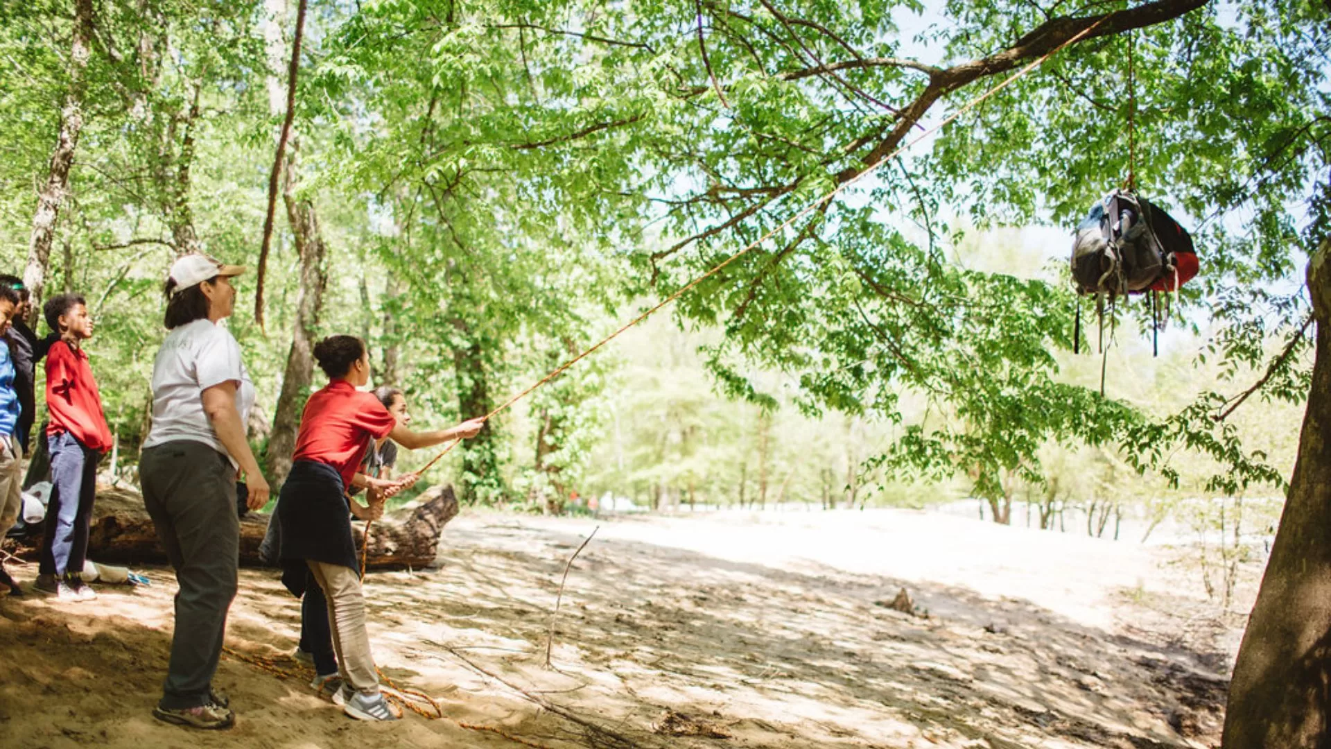 During Energy in Motion programs, students step into the forest to investigate how energy moves, changes, and powers the world around them.
