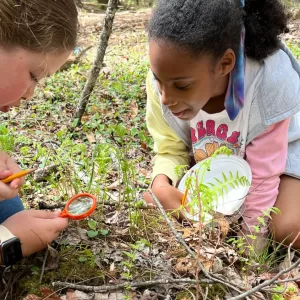 During a Forest Floor Expedition, students connect with nature through a hands-on study of life beneath their feet!