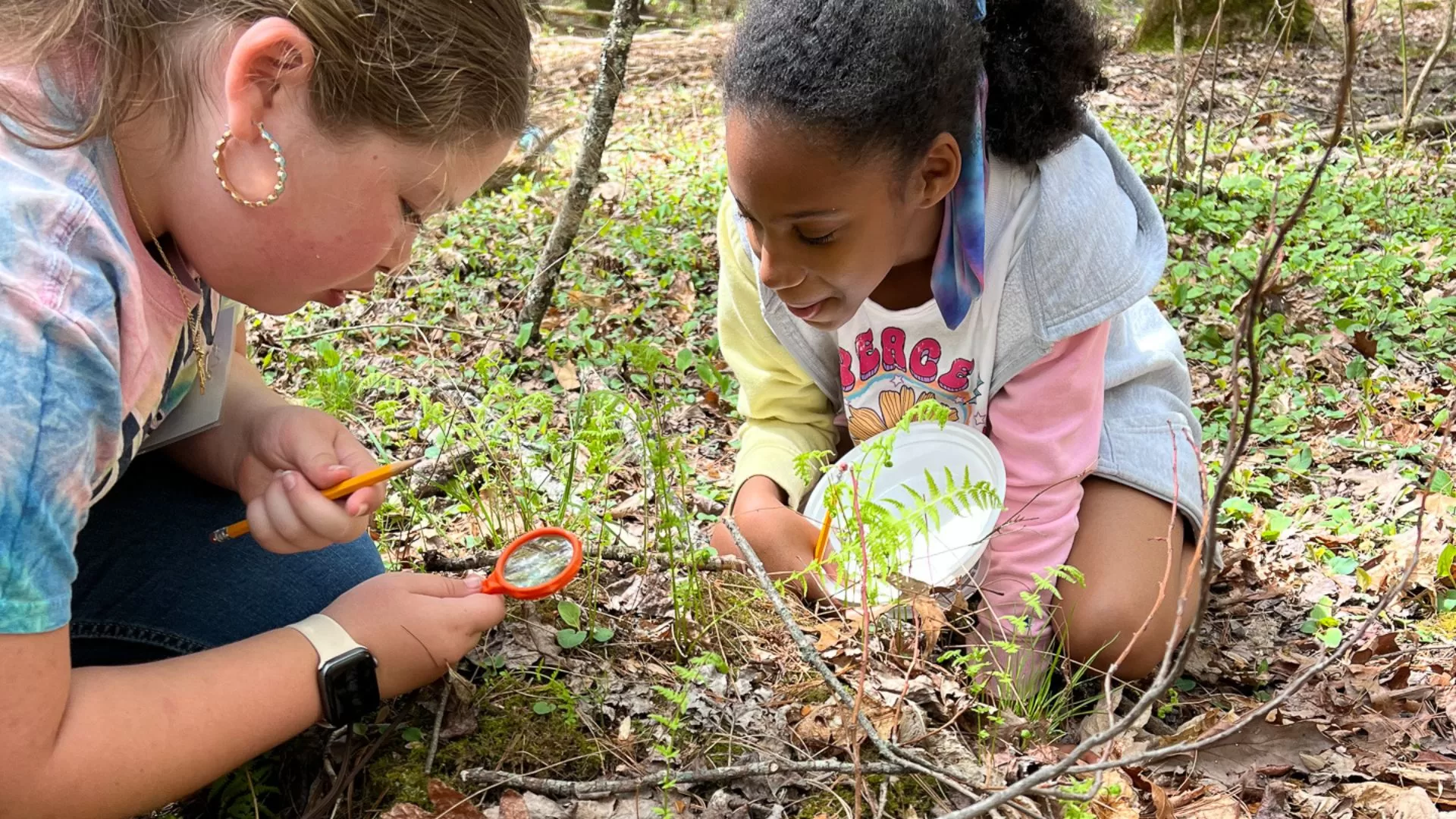 During a Forest Floor Expedition, students connect with nature through a hands-on study of life beneath their feet!