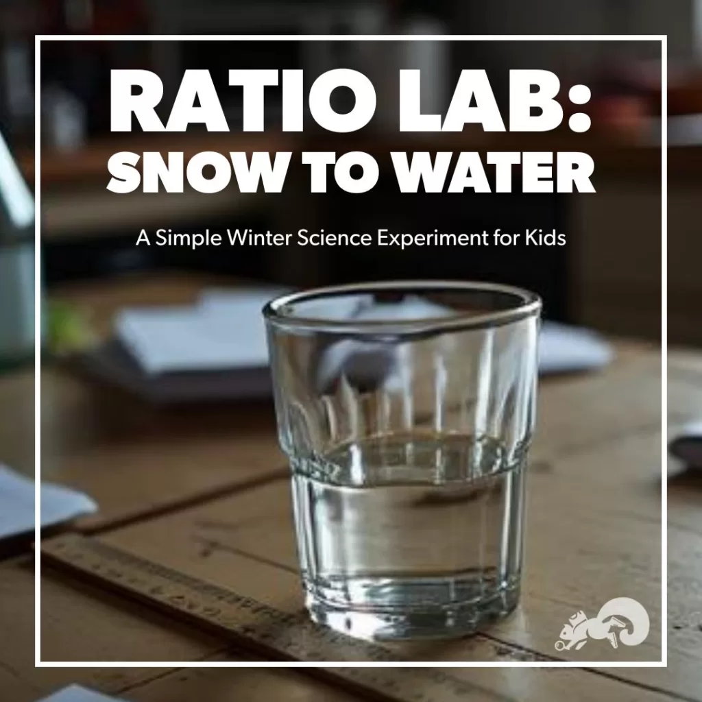 A cup of water showing the melted depth of snow during the Snow-to-Water Ratio Lab experiment.