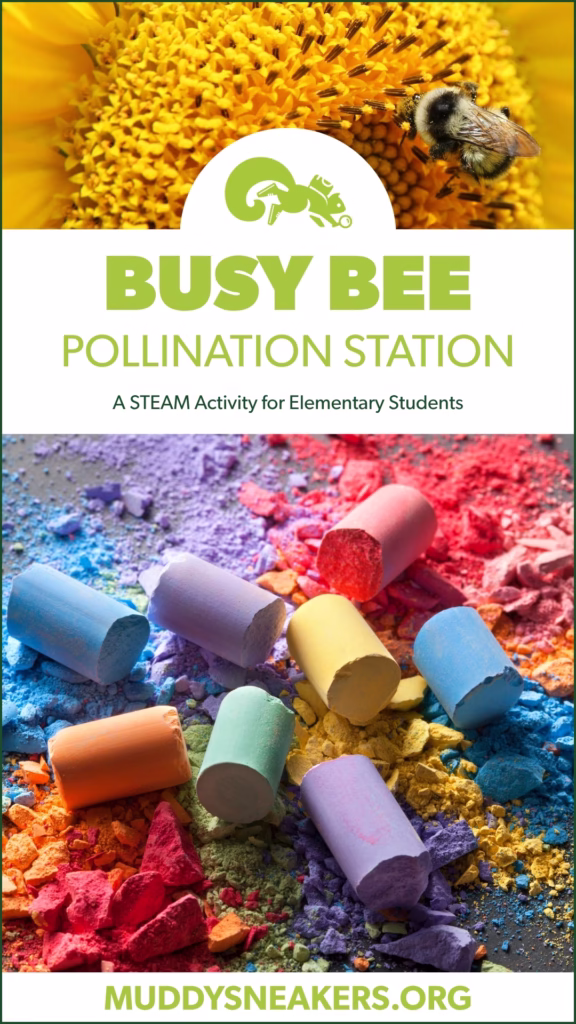 Busy Bee Pollination Station