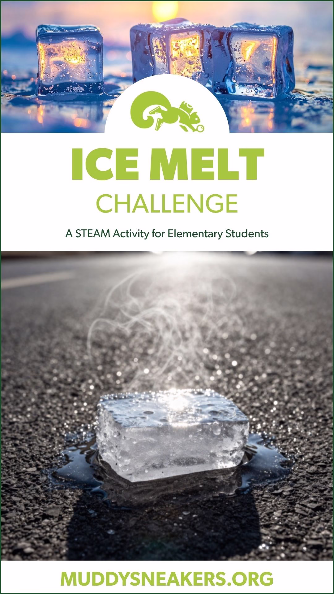 The Great Ice Cube Melt Race